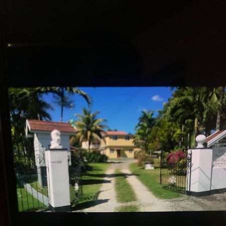 Little Shaw Park Guest House Ocho Rios Exterior photo