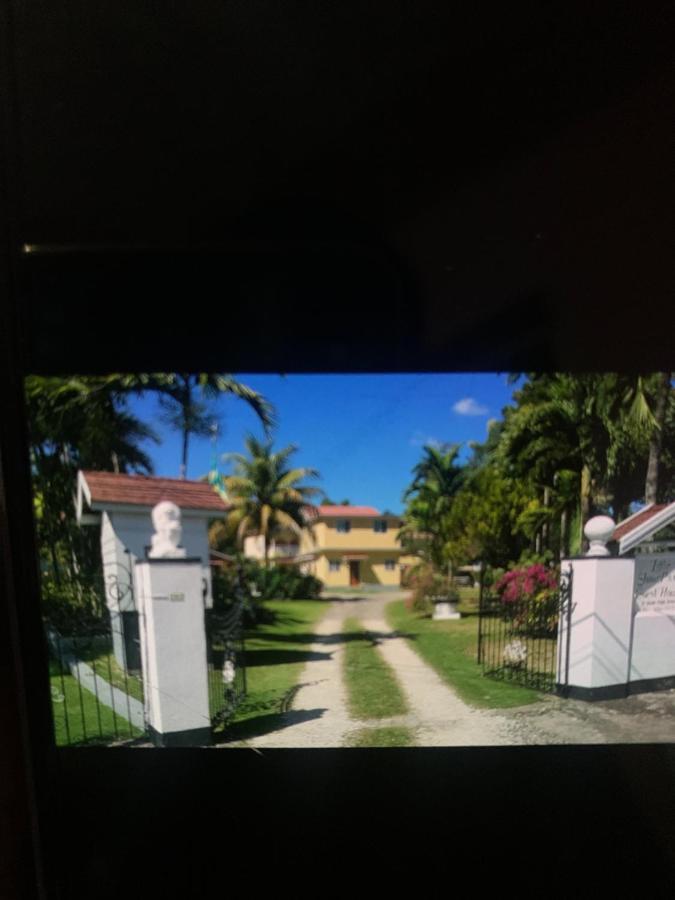 Little Shaw Park Guest House Ocho Rios Exterior photo