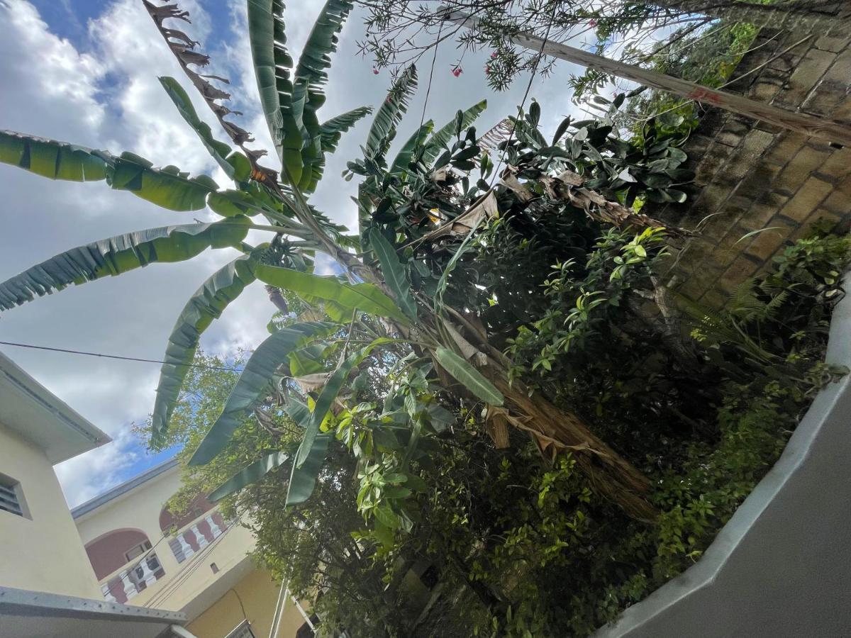 Little Shaw Park Guest House Ocho Rios Exterior photo