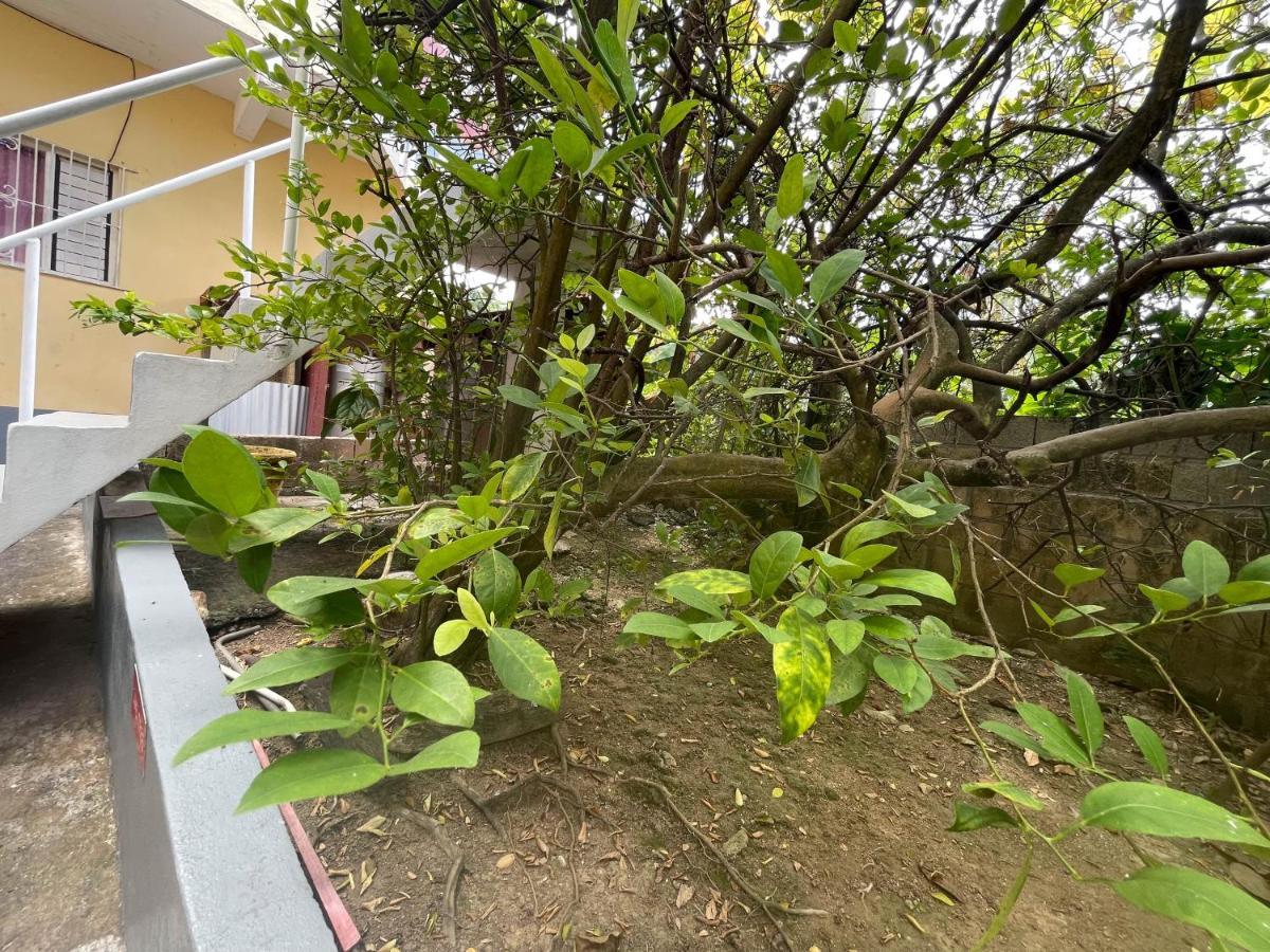 Little Shaw Park Guest House Ocho Rios Exterior photo