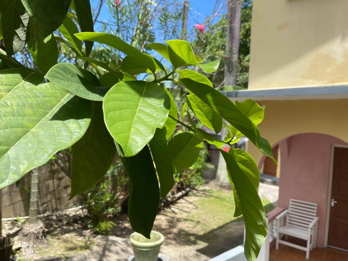 Little Shaw Park Guest House Ocho Rios Exterior photo