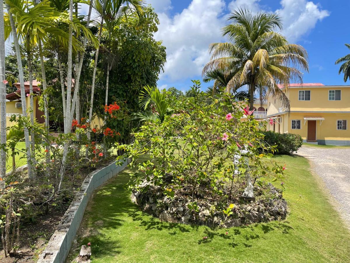 Little Shaw Park Guest House Ocho Rios Exterior photo