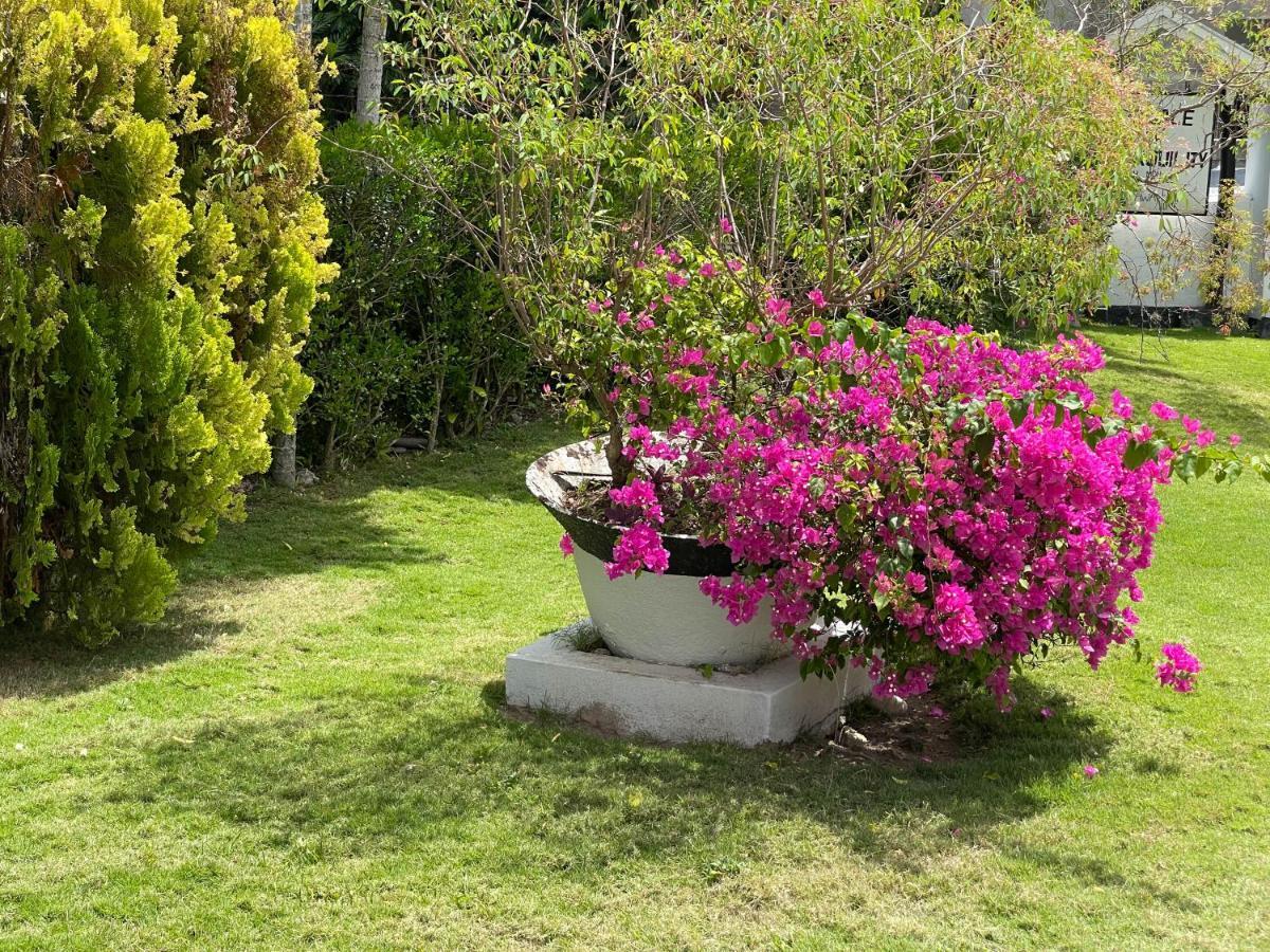 Little Shaw Park Guest House Ocho Rios Exterior photo