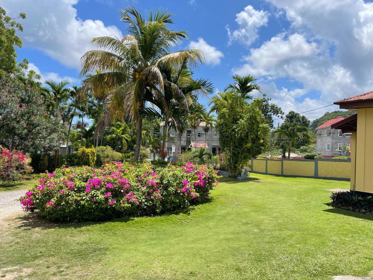 Little Shaw Park Guest House Ocho Rios Exterior photo