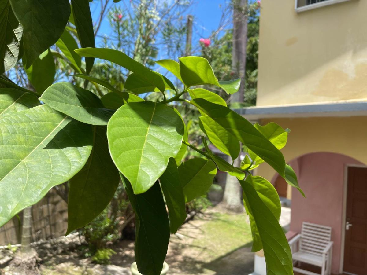 Little Shaw Park Guest House Ocho Rios Exterior photo