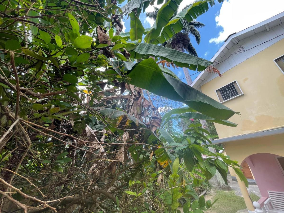 Little Shaw Park Guest House Ocho Rios Exterior photo