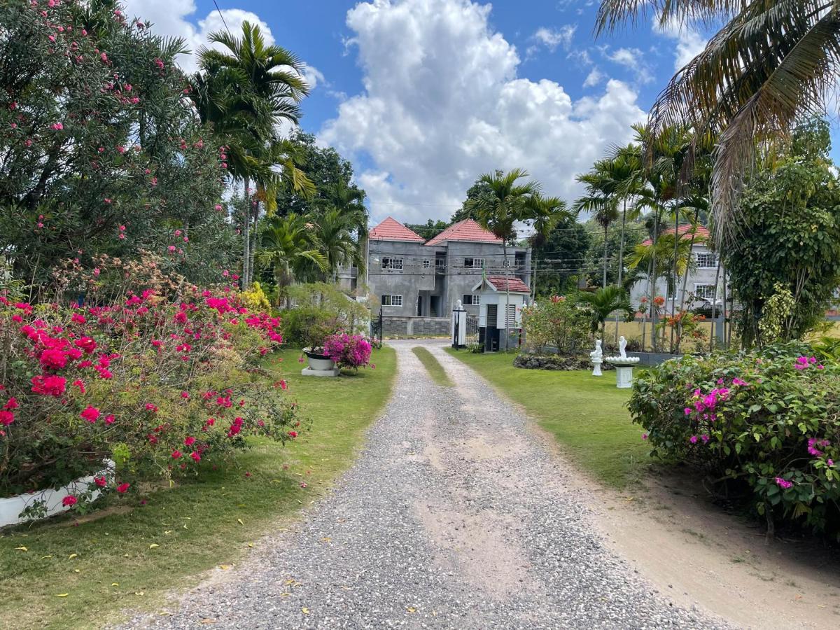 Little Shaw Park Guest House Ocho Rios Exterior photo